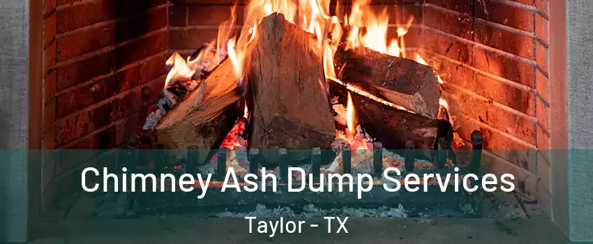  Chimney Ash Dump Services Taylor - TX