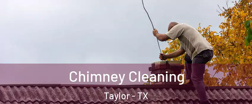  Chimney Cleaning Taylor - TX