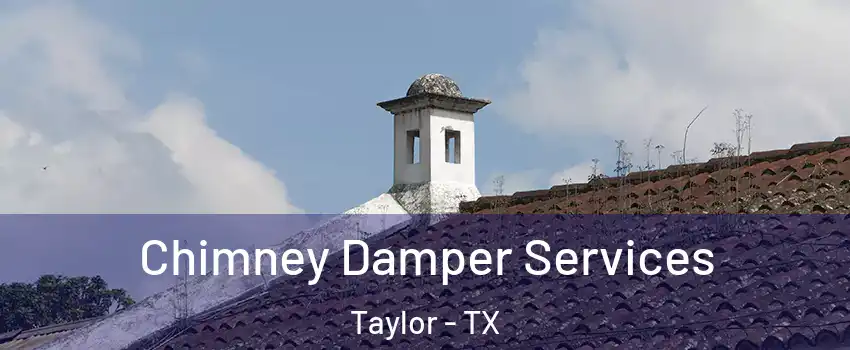  Chimney Damper Services Taylor - TX