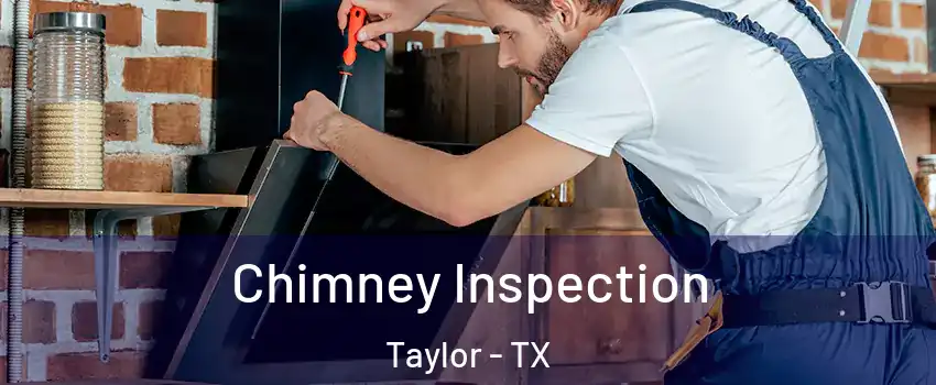  Chimney Inspection Taylor - TX