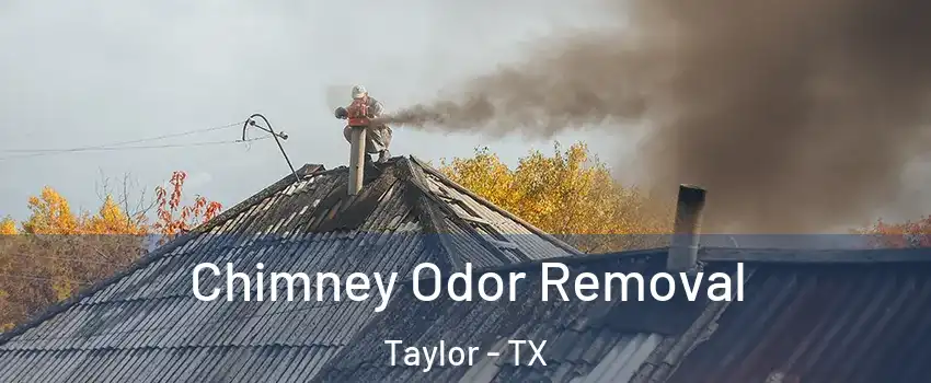  Chimney Odor Removal Taylor - TX