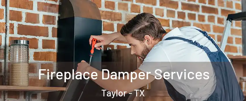  Fireplace Damper Services Taylor - TX