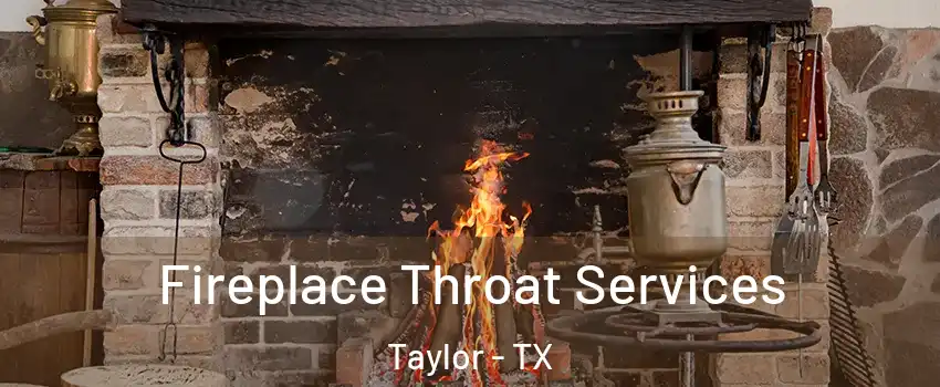  Fireplace Throat Services Taylor - TX