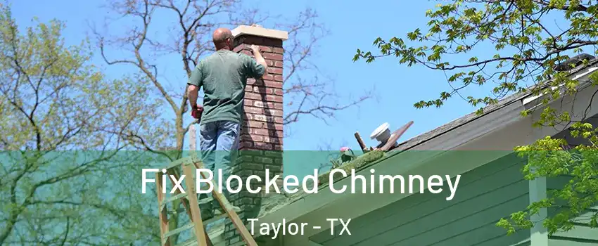  Fix Blocked Chimney Taylor - TX
