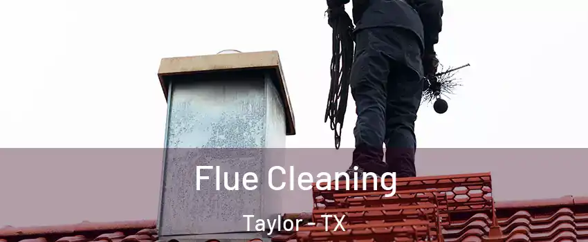  Flue Cleaning Taylor - TX