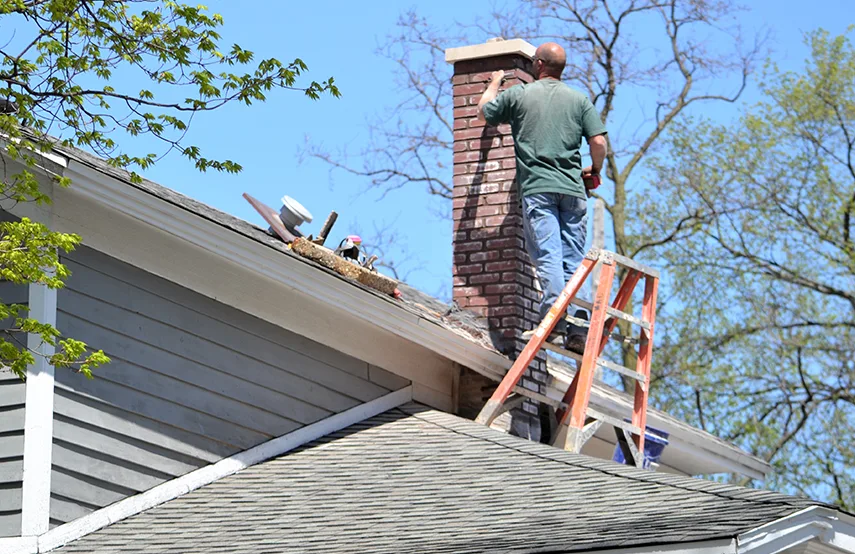 Chimney & Fireplace Inspections Services in Taylor, TX