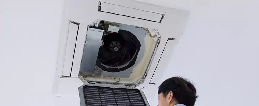 Benefits of Professional Air Duct Cleaning in Taylor, Texas