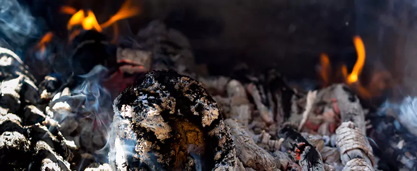 Creosote Removal Experts in Taylor, TX
