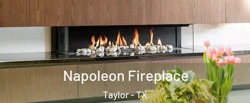 Napoleon Fireplace Taylor - TX